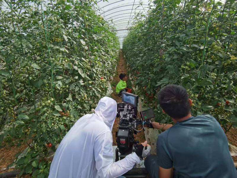 息烽县产品宣传视频拍摄公司进阶指南，助力品牌抢占传播高地